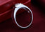 18k White and Yellow Gold Men's Ring - Valor
